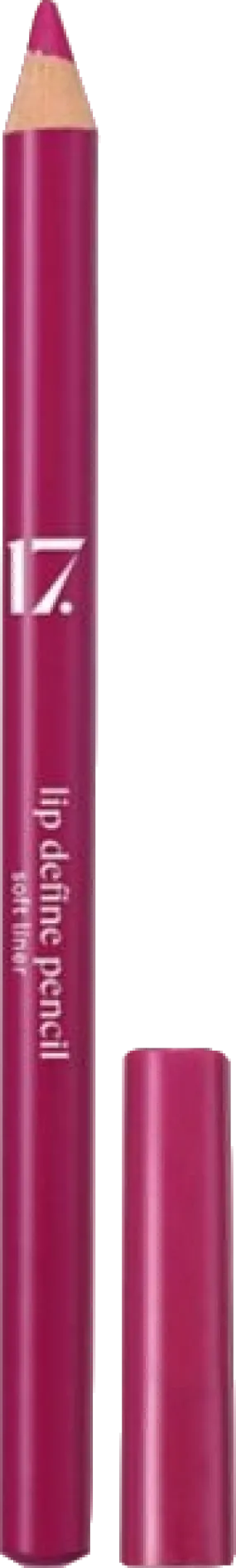 17 Lip Define Pencil Purple one size