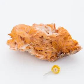 Barite - w/ Vanadinite