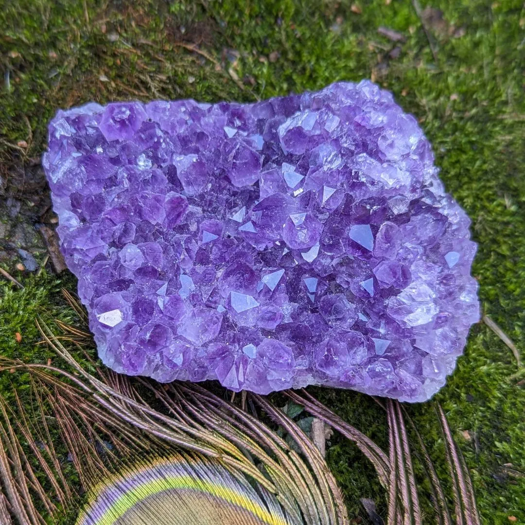 Vibrant Purple Amethyst Crystal Cluster ~ Positive Energy and Emotional Balance