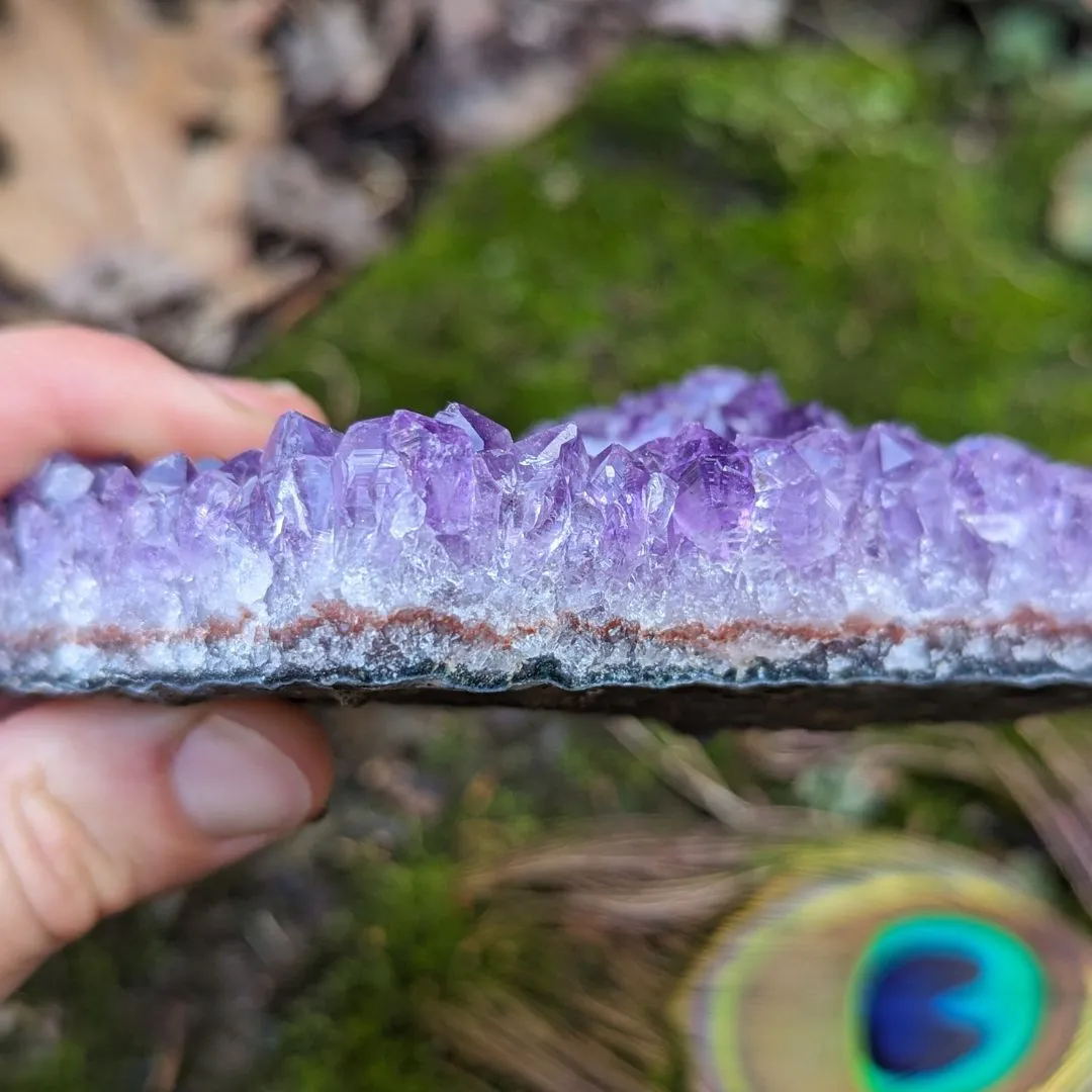 Vibrant Purple Amethyst Crystal Cluster ~ Positive Energy and Emotional Balance